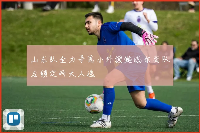 山东队全力寻觅小外援鲍威尔离队后锁定两大人选