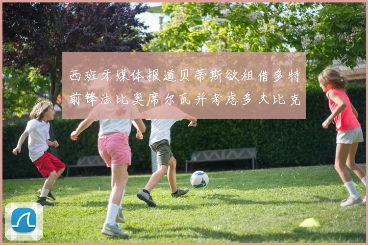 西班牙媒体报道贝蒂斯欲租借多特前锋法比奥席尔瓦并考虑多夫比克