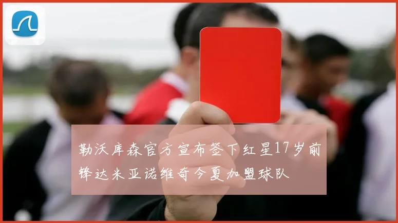 勒沃库森官方宣布签下红星17岁前锋达米亚诺维奇今夏加盟球队