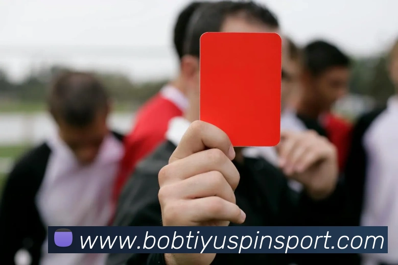 BOB体育APP 封面图